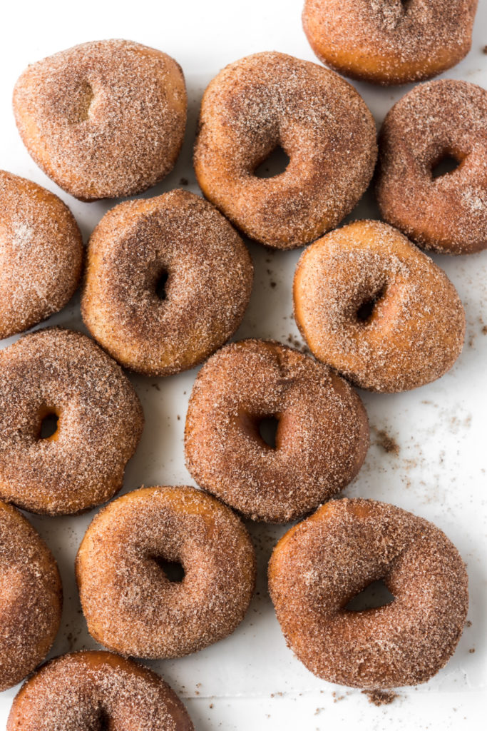 cinnamon sugar yeast raised spudnuts