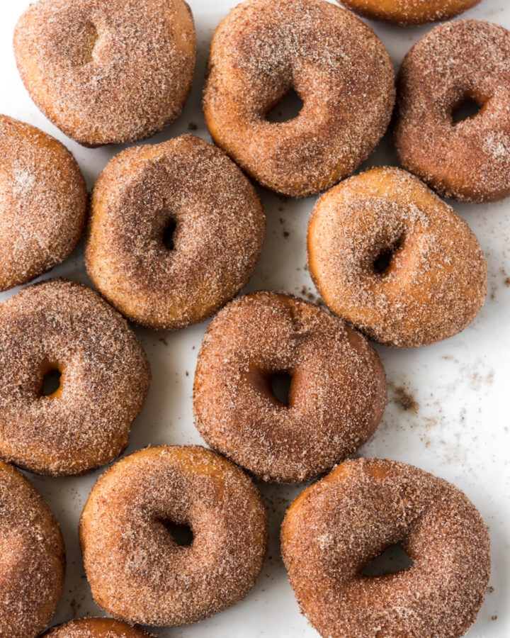 cinnamon sugar yeast raised spudnuts