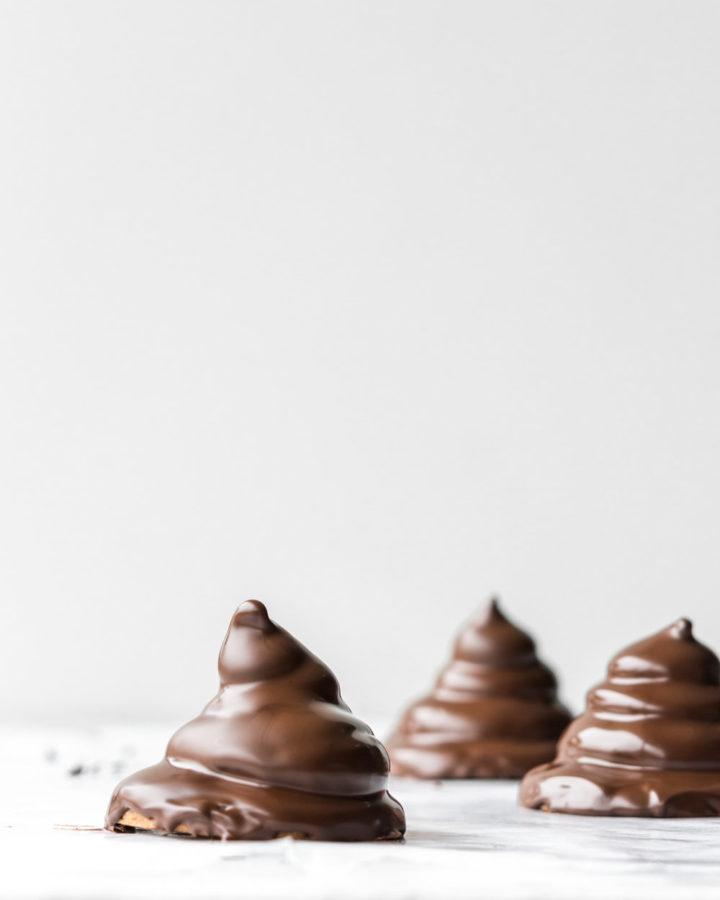 marshmallow cookies dipped in dark chocolate