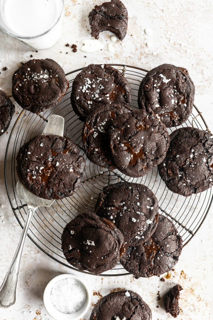 double chocolate cookies recipe
