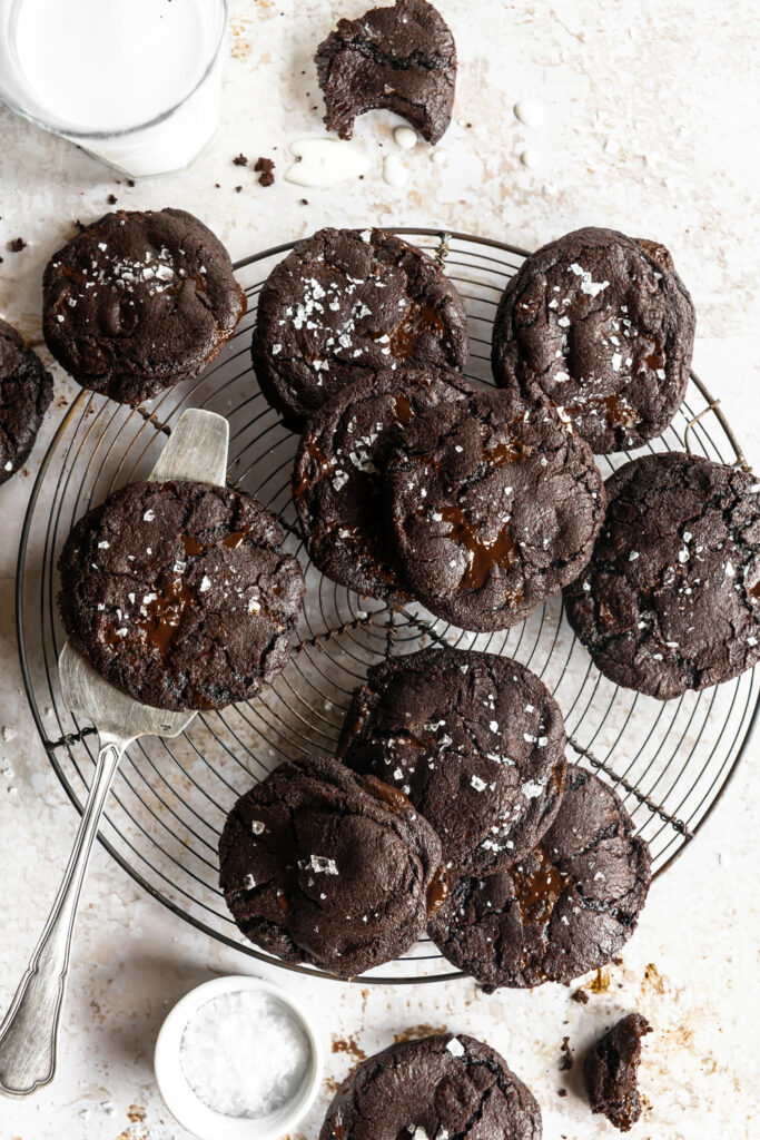 double chocolate cookies recipe