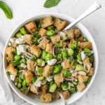 fava bean panzanella spring bread salad recipe-- withspice seasonal food blog