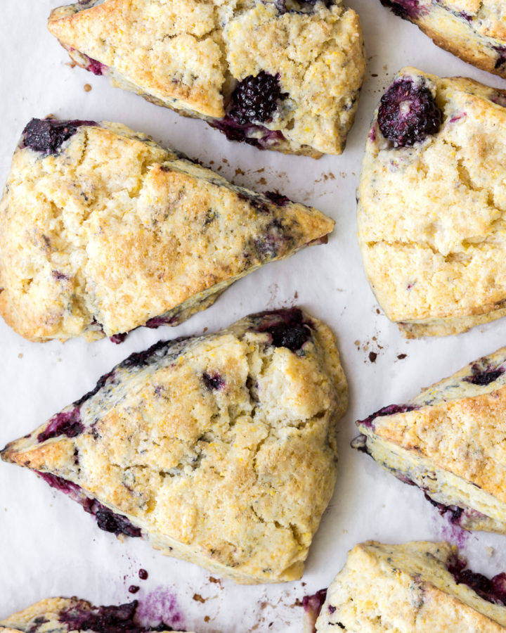 summer blackberry cornmeal scone recipe-- withspice seasonal food blog