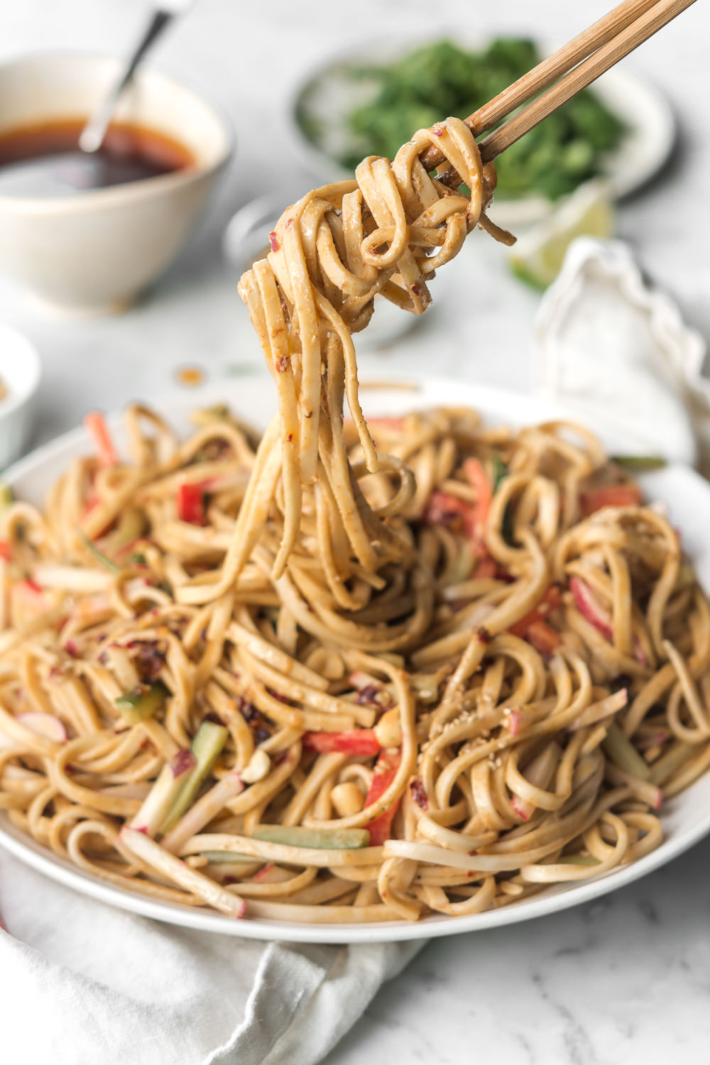 cold spicy sesame peanut noodles | With Spice