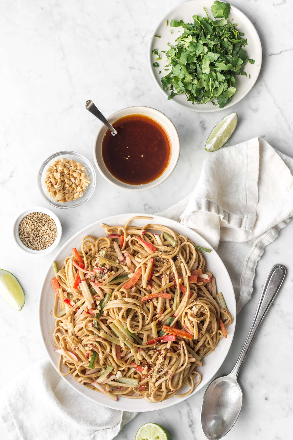 cold spicy sesame peanut noodles | With Spice