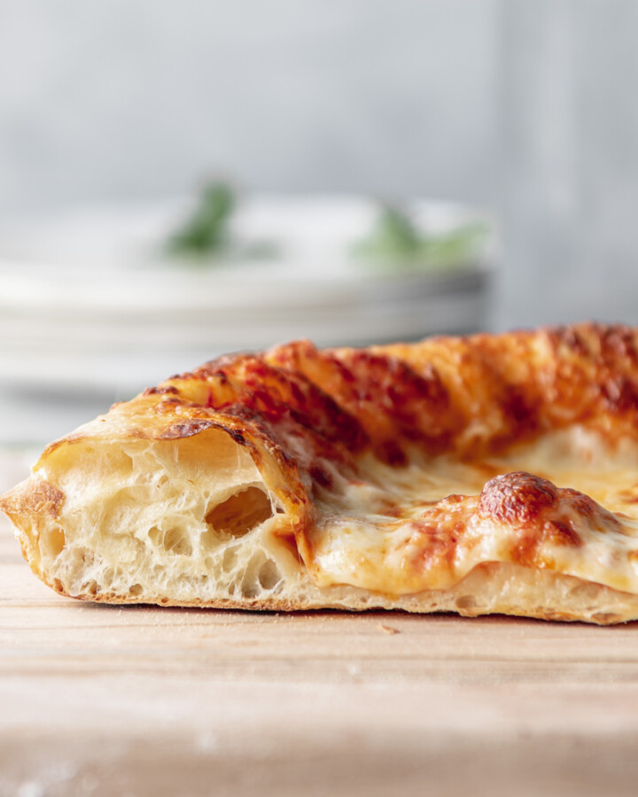 chewy pizza dough recipe with big bubbles in crust