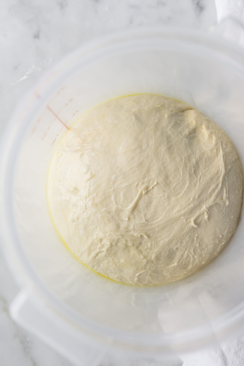 artisan pizza dough crispy, chewy, bubbly crust With Spice