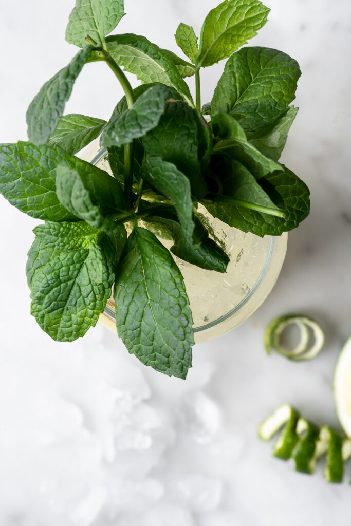 tequila ginger beer cocktail