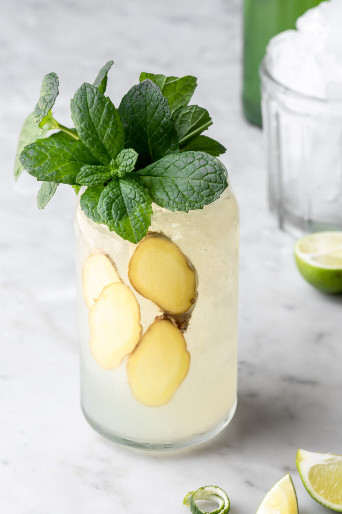 tequila ginger beer with crushed ice and mint garnish