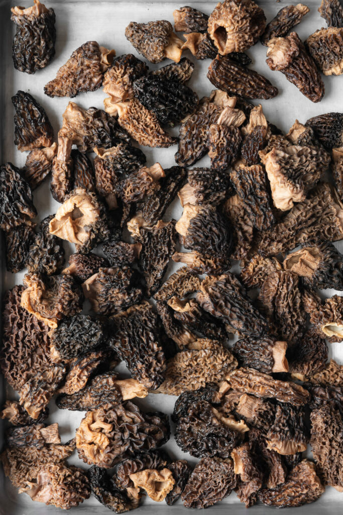 dried morels