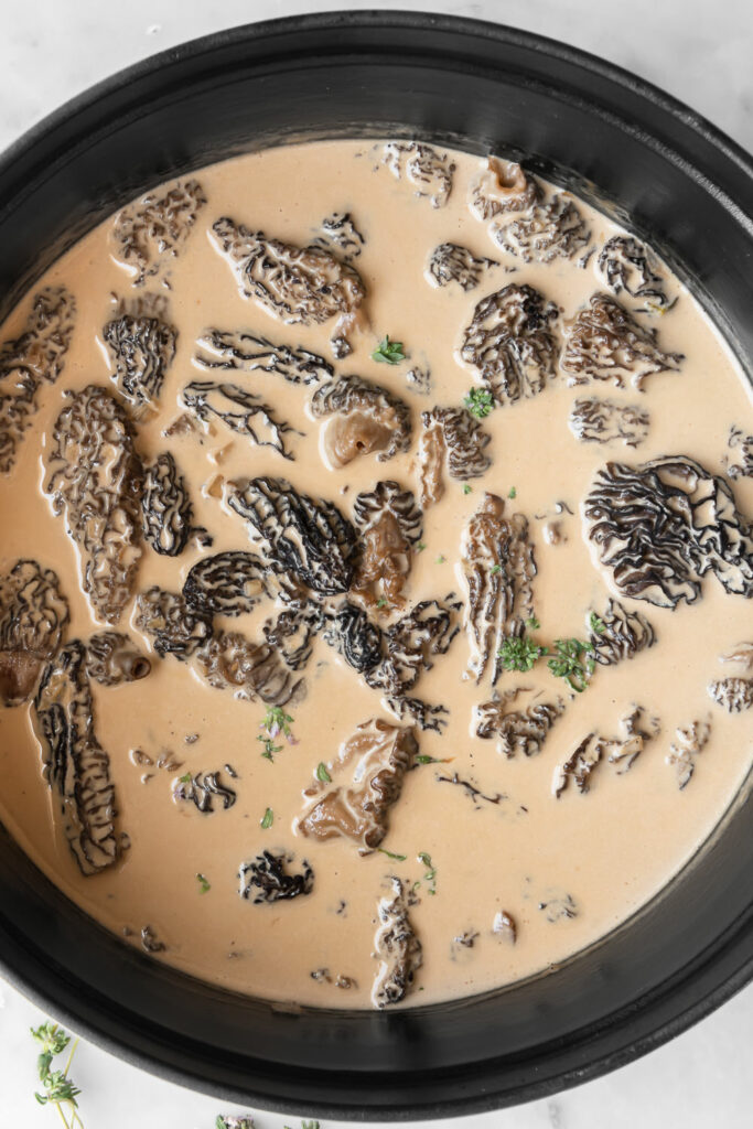 how to make morel cream sauce