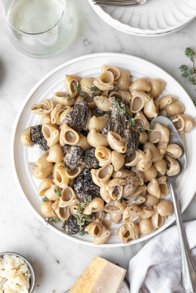 morel mushroom pasta with parmesan, cream and thyme