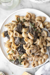 morel pasta with parmesan, cream and thyme