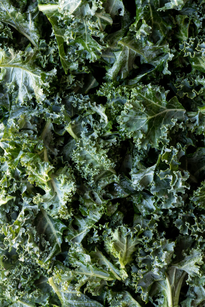 curly leaf kale