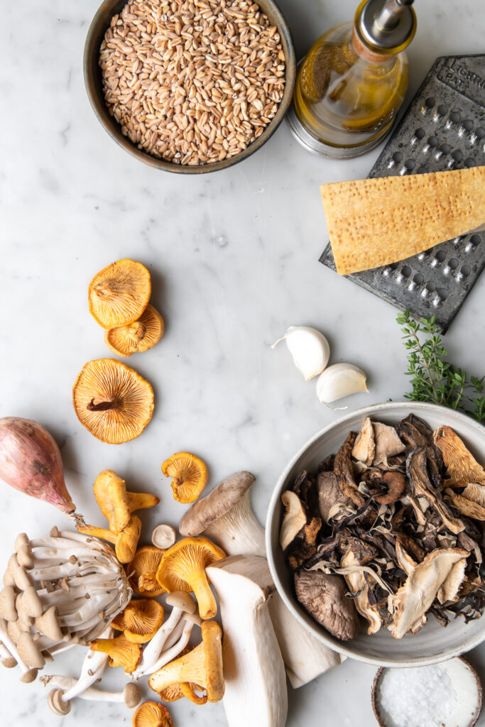 wild mushrooms, farro, dried mushrooms, shallots, parmesan, olive oil, garlic, thyme