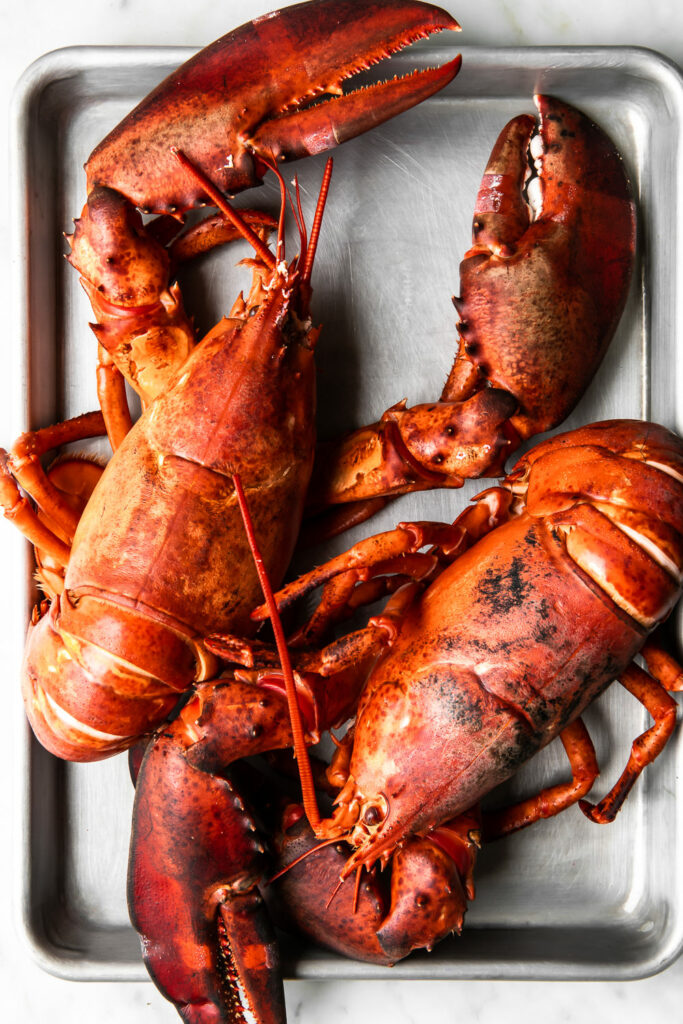 How to Make Lobster Stock - The Wine Lover's Kitchen