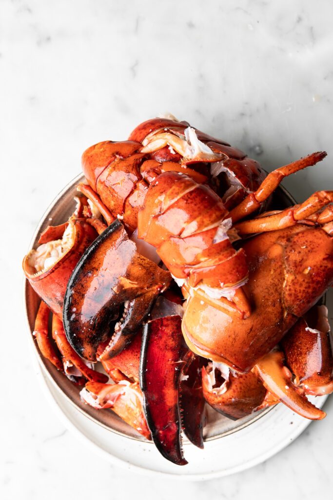 lobster shells for stock