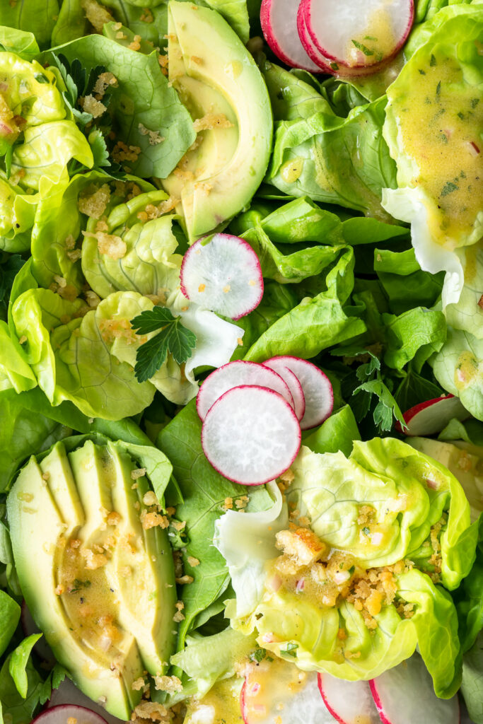butter lettuce avocado salad