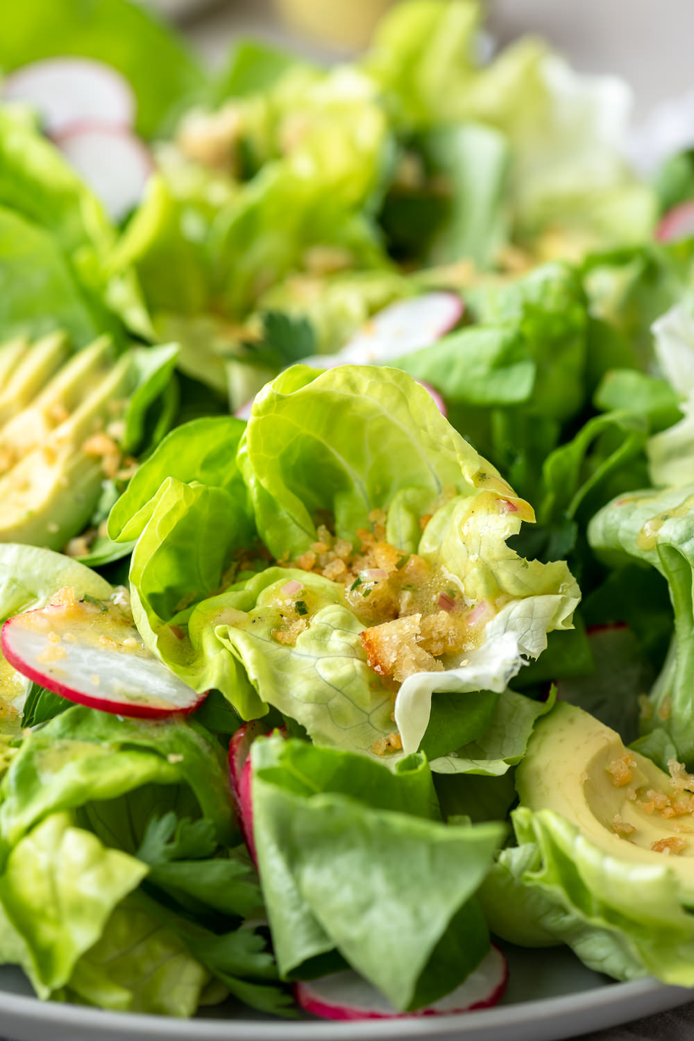 butter lettuce salad with breadcrumbs, avocado and radishes