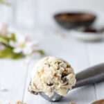 homemade rum raisin ice cream