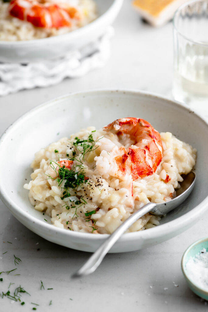 maine lobster risotto