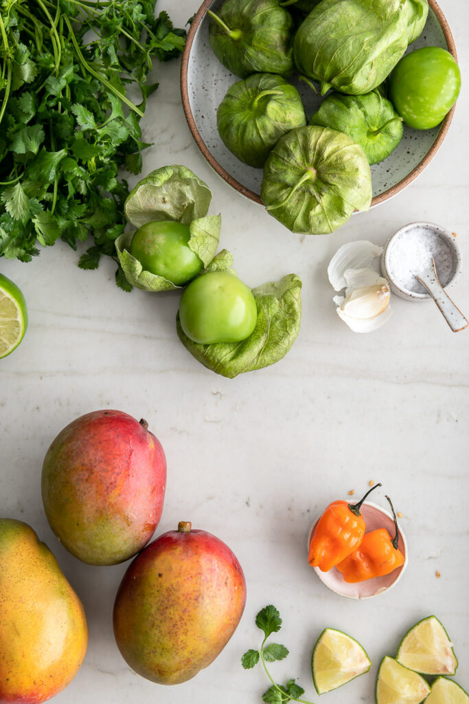 mango, tomatillos, habaneros, cilantro, lime