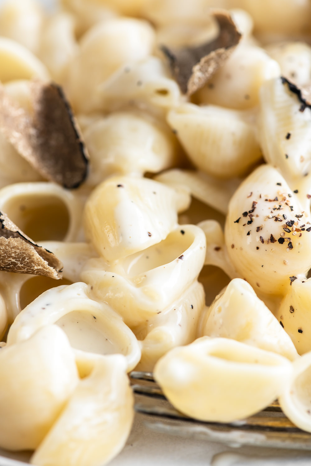 truffle cream sauce With Spice
