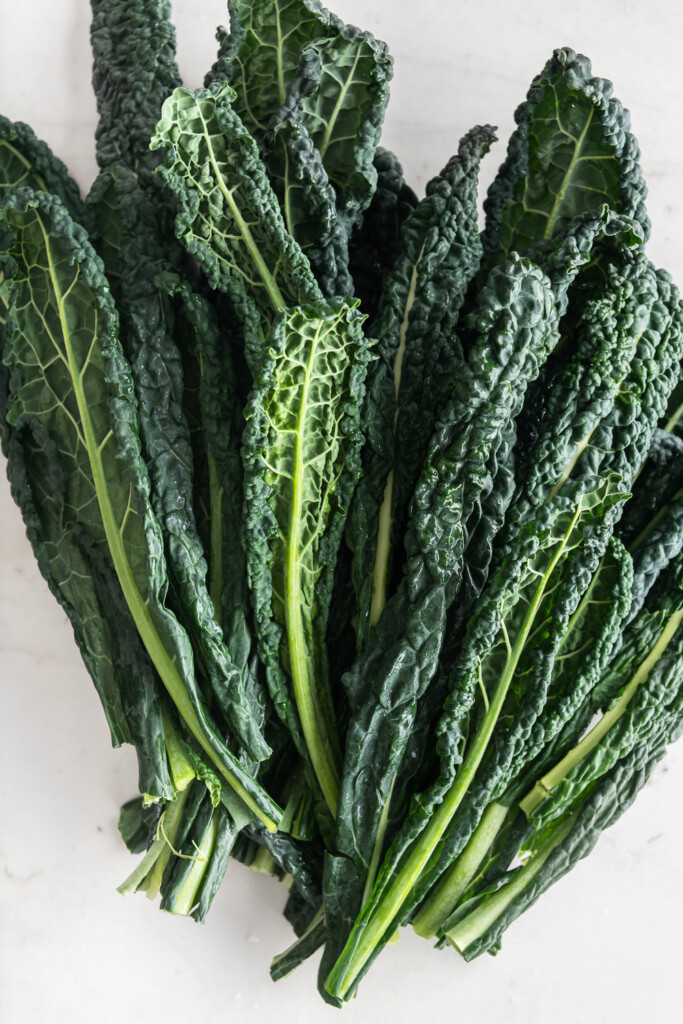 what is tuscan kale