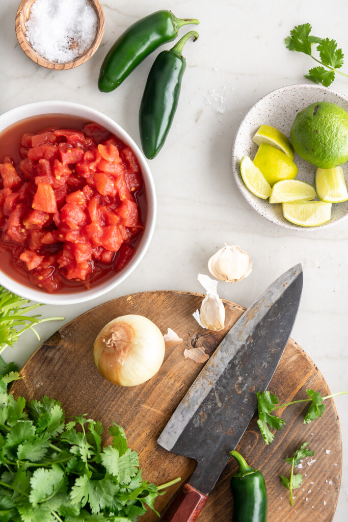 ingredients_how to make homemade salsa
