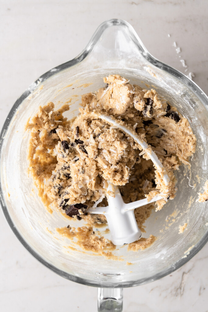 2_coconut chocolate chip cookie dough