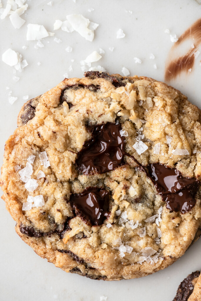 coconut chocolate chip cookies