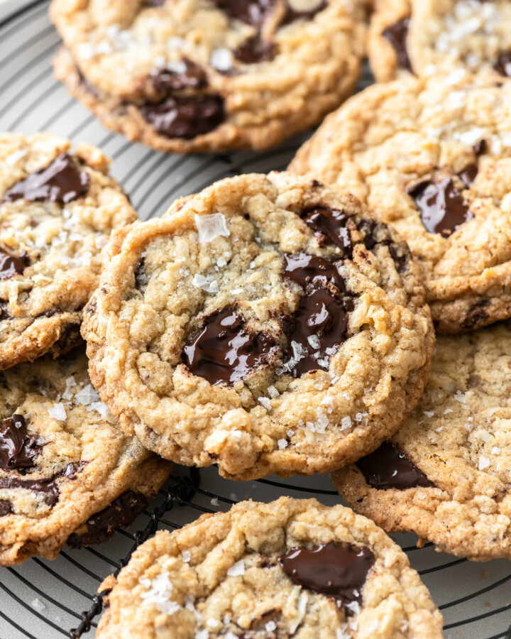 coconut chocolate cookies