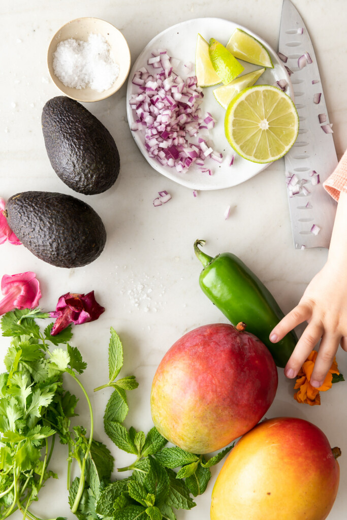 ingredients_avocado mango salsa