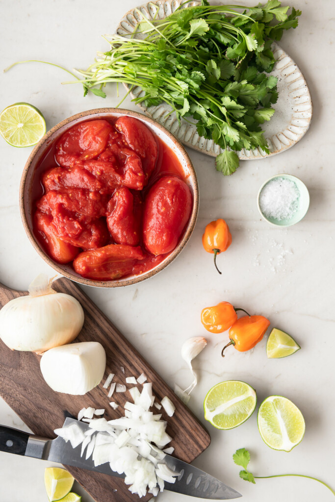 ingredients_habanero salsa