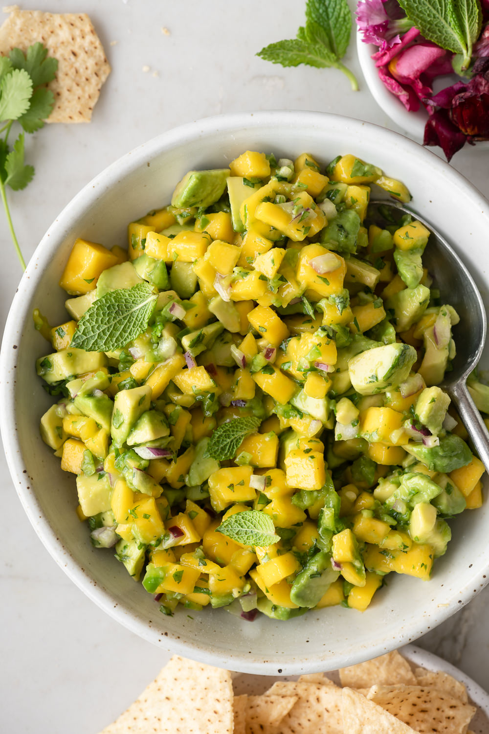 avocado mango salsa | With Spice