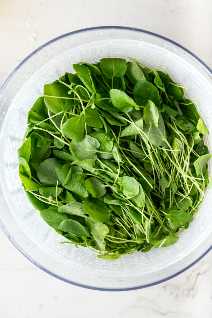how to prepare watercress for salad