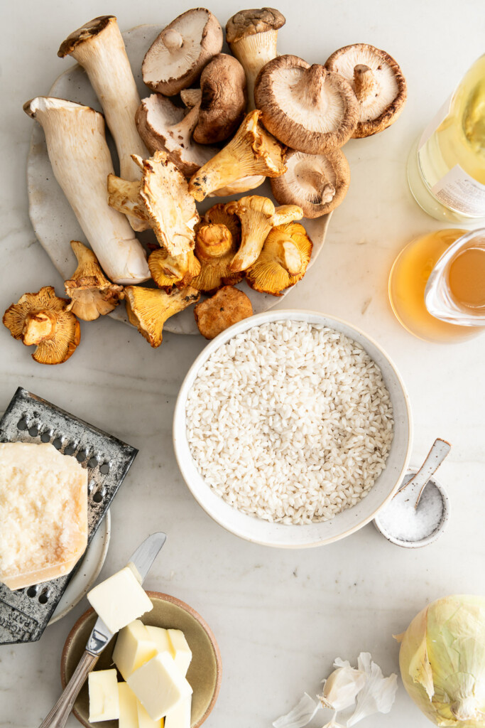 ingredients_risotto rice, wild mushrooms, parmesan, white wine, chicken stock, butter, onion