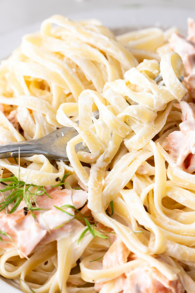 salmon alfredo pasta