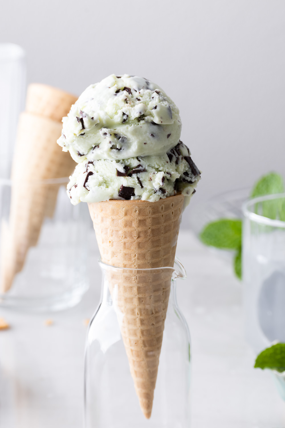 fresh mint chocolate chip ice cream | With Spice