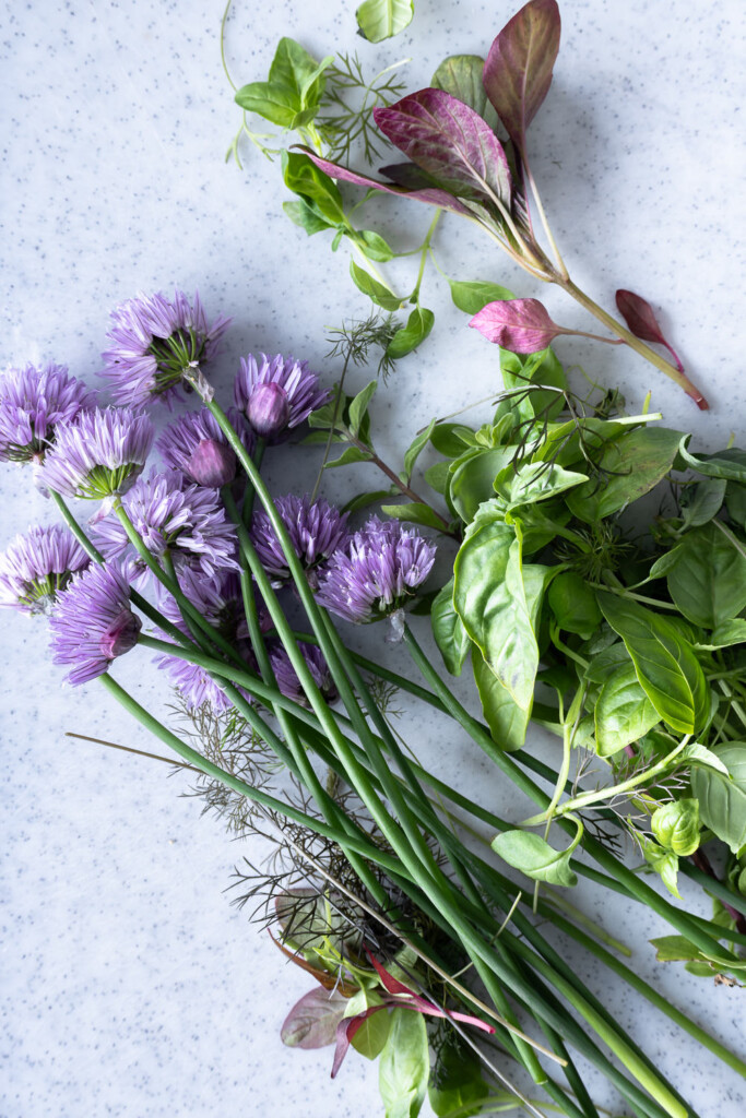 1_chives, chive blossoms, basil, mint
